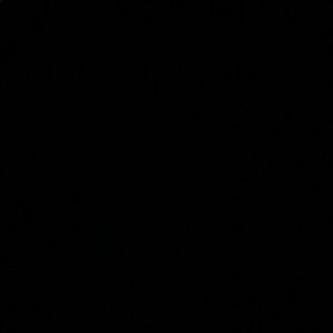 Meet your Posher, Angelina